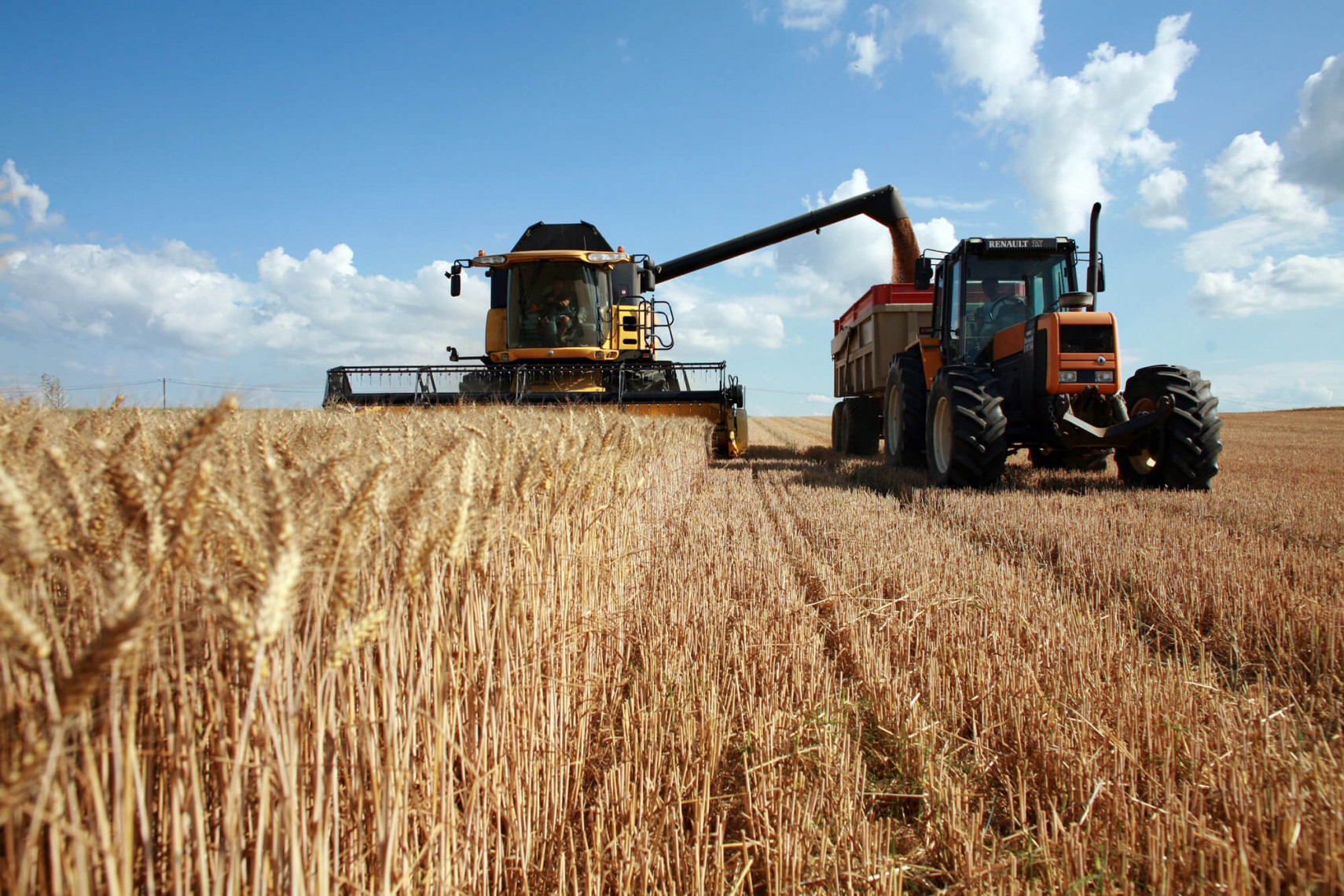 LANDWIRTSCHAFT