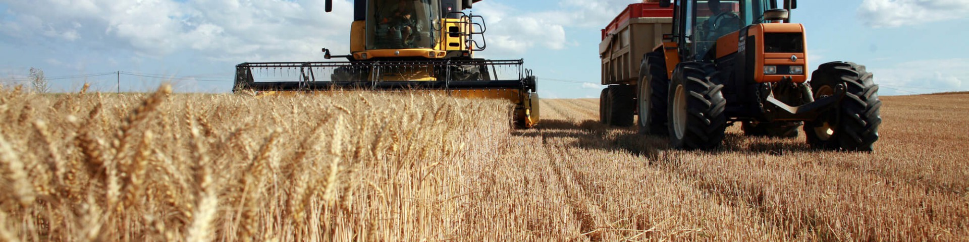 LANDWIRTSCHAFT
