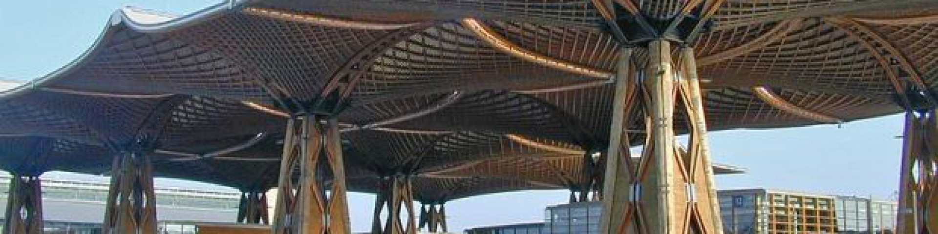 Wooden Houses as CO2 storage: Study propagates wood as a climate-friendly building material